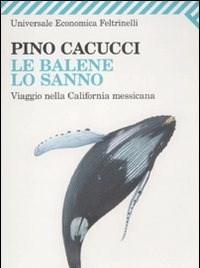 Le Balene Lo Sanno<br>Viaggio Nella California Messicana
