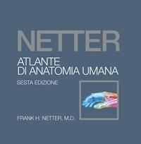 Netter<br>Atlante Di Anatomia Umana