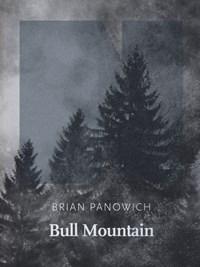 Bull Mountain