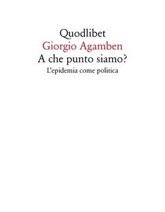 A Che Punto Siamo? L"epidemia Come Politica