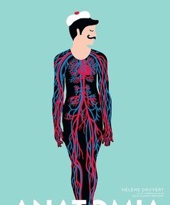 Anatomia<br>Sezioni E Animazioni Per Osservare Il Corpo Da Vicino