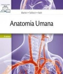 Anatomia Umana