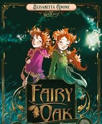 Il Segreto Delle Gemelle<br>Fairy Oak<br>Vol<br>1