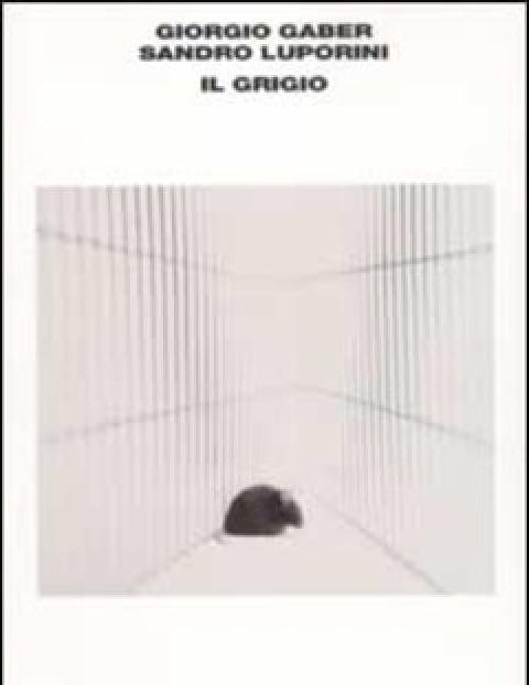 Il Grigio