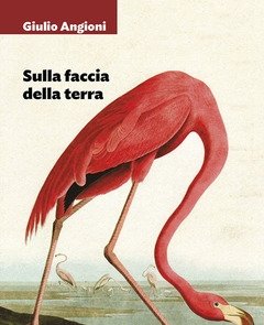 Sulla Faccia Della Terra