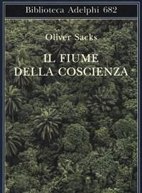 Il Fiume Della Coscienza