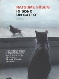 Io Sono Un Gatto